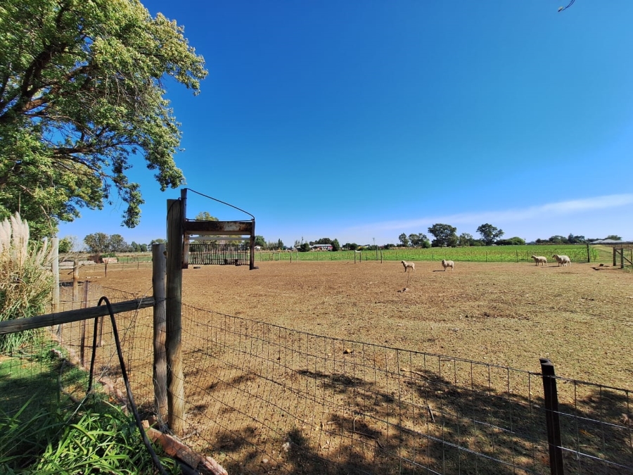 Commercial Property for Sale in Bainsvlei Free State